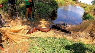 Primera pesca en Colombia pescamos anguilas gigantes eléctricas y muchos peces [upl. by Ecirpak]