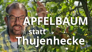 APFELhecke statt THUJEN – So kombinierst du Sichtschutz mit Genuss [upl. by Landry]