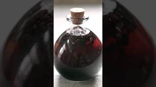 How to make Elderberry Tincture ✨️🍯 slowliving herbalremedies herbalism SHORTS [upl. by Notlimah153]