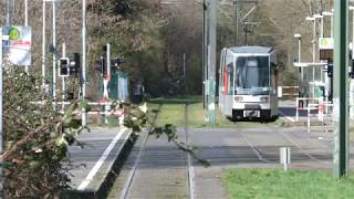 Rheinbahn NF6 am Düsseldorf Uni OstBotanischer Garten [upl. by Galatia548]