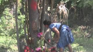 La virgen De Guadalupe Se Apareció En Un Árbol entre El Salvador y Guatemala [upl. by Baal]