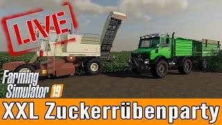 LS19 XXL Zuckerrüben Party NF Marsch 4 fach Farming Simulator 19 [upl. by Boice]