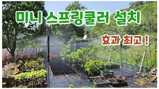 미니 스프링쿨러 설치  관수시설 설치 요령과 효과 [upl. by Redan]