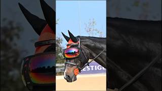 Защита для глаза лошади с eQuick EVYSOR newbesthorse конныйспорт horse лошади [upl. by Gabie]