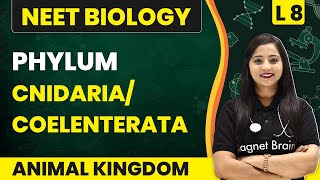 Phylum  CnidariaCoelenterata  Animal Kingdom  L8  NEET Biology [upl. by Christan]