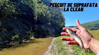 Pescuit de suprafata la Clean [upl. by Sowell]