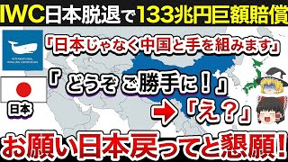 日本非難国が次々土下座！とんでもない数の国がIWC大量脱退＋巨額賠償で困惑！【ゆっくり解説】 ゆっくり解説 世界情勢 iwc [upl. by Oluap]