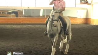 Horse Bits How They Work and When to Use [upl. by Carson]