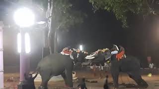 Elephants attack at vayilyamkunnu pooram  kadampazhipuram  palakkad  kerala [upl. by Amri369]