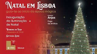 Inauguração da Iluminação de Natal [upl. by Annayhs]