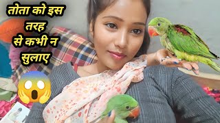 तोता को कैसे सुलाए ये वीडियो जरूर देख लो  Alexander parrot loving and care 😘 the Alexander parrot [upl. by Immas]