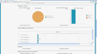 Salesforcecom RFP Process and Milestones PM App [upl. by Antrim]