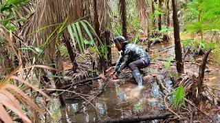 Búsqueda y captura de cangrejos grandes de pantano y cocina de caldo [upl. by Emmons]