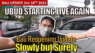 Bali Reopening Ubud Starting Live Again  Ubud Bali update [upl. by Assisi]