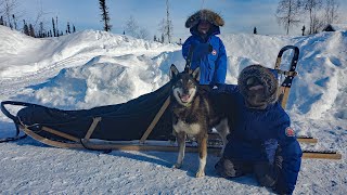 Winter Camping in Alaska with a Sled Dog Team [upl. by Marba]