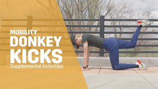 Donkey Kicks  Mobility [upl. by Koa]