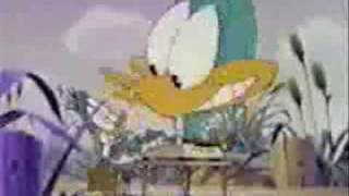 Tiny Toon Adventures Intro Arabic [upl. by Nangatrad902]