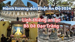 Hành hương đất Phật Ấn Độ 2024 Linh thiêng an lạc Bồ Đề đạo tràng Tượng Đại Phật Chùa Kiều Đàm Di [upl. by Duleba]