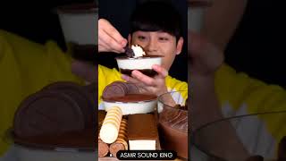 KOREAN MUKBANG  ASMR 초코푸딩 쇼콜라타르트 무스케이크 초코브라우니 초코아이스크림 초코케이크 먹방 mukbang asmr shortvideo [upl. by Kendricks]