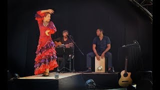 Amanecer Tablao Flamenco Teaser 2019  Arrinconamela [upl. by Yrallih515]