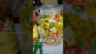 Homemade Chicago Style Giardiniera Veldoggskitchen [upl. by Perlis]