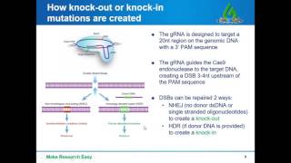 CRISPR solutions how to choose and implement CRISPR in your research [upl. by Tanya]