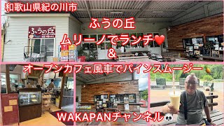 和歌山県紀の川市 ふうの丘 ムリーノでランチampオープンカフェ風車でパインスムージー🍍WAKAPANチャンネル🐼 [upl. by Aydin]