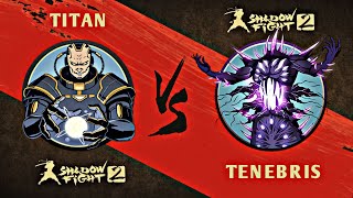 Shadow Fight 2  Titan vs Tenebris [upl. by Ikir]