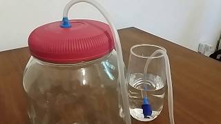 How to Make an Airlock for a Fermentation Jar [upl. by Maupin]