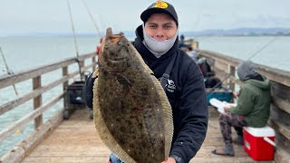 Candlestick Point Fishing Pier San Francisco Bay Halibut Fishing [upl. by Winwaloe]