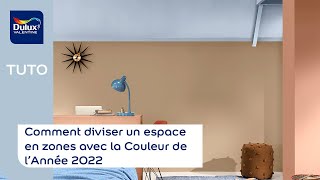 Comment diviser un espace en zones avec la Couleur de l’Année 2022  Dulux Valentine [upl. by Richey336]