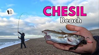 Catch amp Cook Chesil Beach Edition [upl. by Earaj]