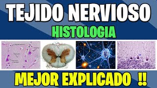 TEJIDO NERVIOSO COMPLETO  Histologia [upl. by Marcel]