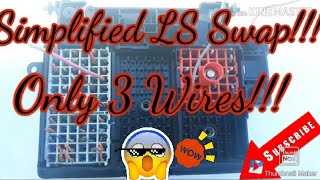 LS SWAP WIRING HOW TO MAKE LS SWAP RUN IN MINUTES STOCK FUSE BOX HARNESS [upl. by Eessac]