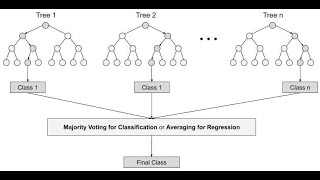 Random Forest Algorithm Methodology and Implementation [upl. by Navy49]