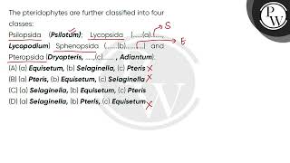 The pteridophytes are further classified into four classes \nPsilopsida Psilotum Lycopsida [upl. by Eiramit229]