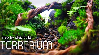 How to Make a Forest Terrarium in a Small Glass Jar  Aquascaping  Paludarium [upl. by Nois624]