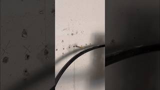 Homeowner Accidentally Screws Into Waterline Inside Wall [upl. by Erolyat]