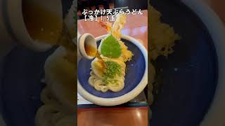 本格手打ち もり家 高松本店 香川県高松市香川町 さぬきうどん うどん 香川県 [upl. by Enoch169]