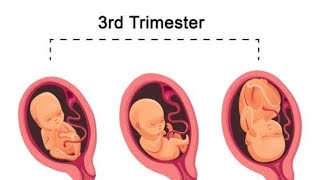 3rd Trimester Pregnancy Hamal ky 3 Trimester mn jo pechedgiyan or mushkilat hoti ha in ka hal [upl. by Enrika]