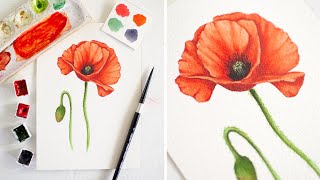 How to Paint Realistic Watercolor Poppies  Watercolor Poppy Tutorial [upl. by Akinwahs]