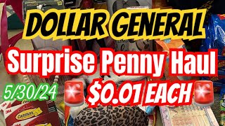 Dollar General Surprise Penny Shopping🔥Lots of stuff still out there‼️ [upl. by Sublett61]