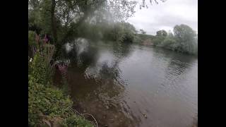 FAS River Thames Southlea Farm  First Look [upl. by Aitnic]