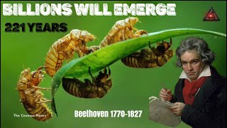 After 221 Years Cicadapocalypse Returns To The US With Double Brood Emergence TheCosmosNews [upl. by Eisiam]