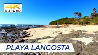 4K PLAYA LANGOSTA  Incredible Vacation Beach Near Tamarindo Guanacaste costarica vlog [upl. by Enna278]