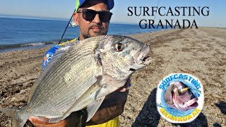 DIA ESTUPENDO PARA LA DORADABUENA JORNADASURFCASTING GRANADA [upl. by Pack]