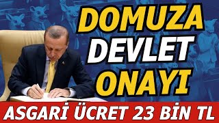 CHP OLMADI DEM DEVREDE…DOMUZA ONAYI DEVLET VERDİ…ASGARİ ÜCRET 23 BİN TL OLACAK… [upl. by Eneleahs]