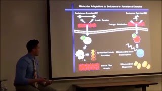 Concurrent Exercise Training MPLS 2016 Dr Kevin Murach [upl. by Houston]