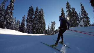 GoPro XC Skiing Downhill Session [upl. by Kienan]