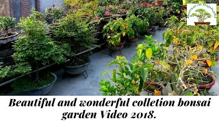 Beautiful and wonderful colletion bonsai garden How to make bonsai garden [upl. by Dnalyk]